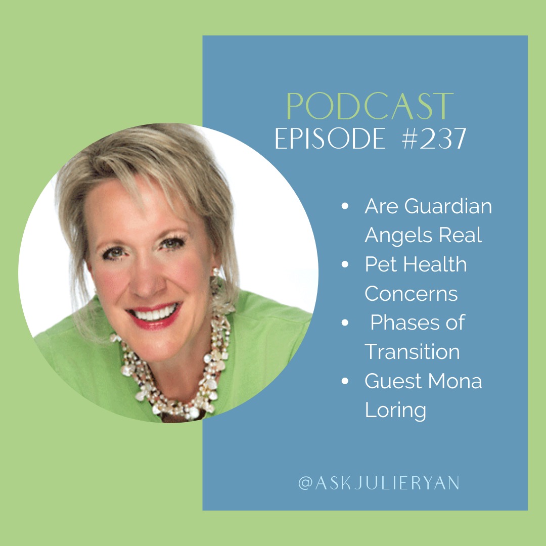 Guardian Angels, Phases of Transition and Mona Loring – #237 | Julie Ryan